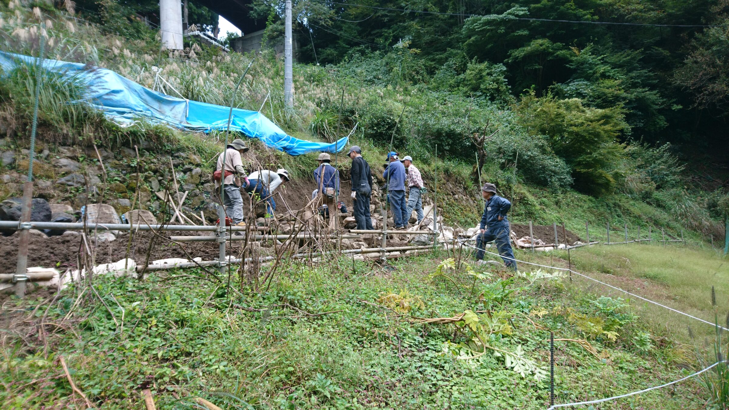 環境保全ワークショップ