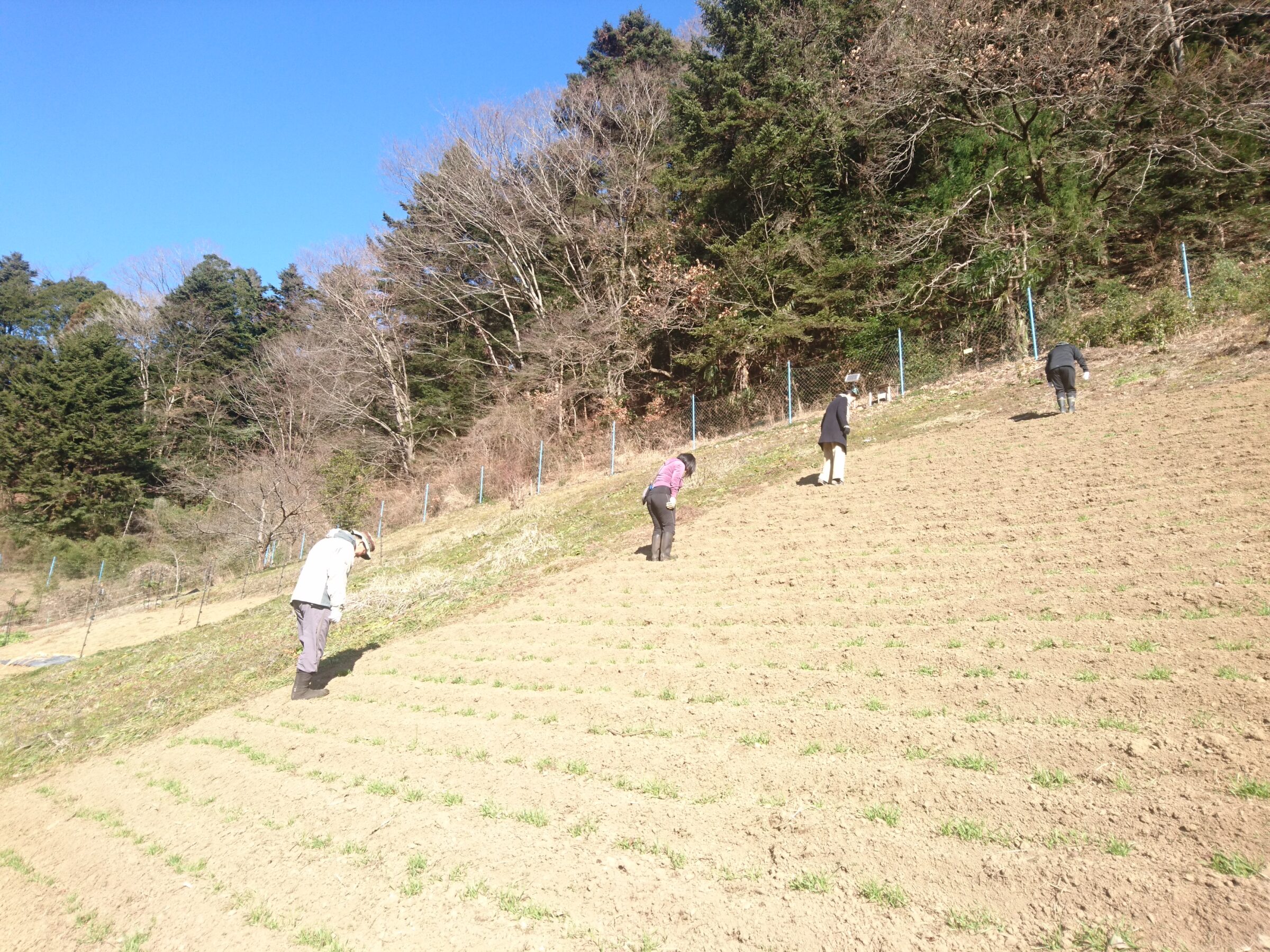 季節の畑しごと入門